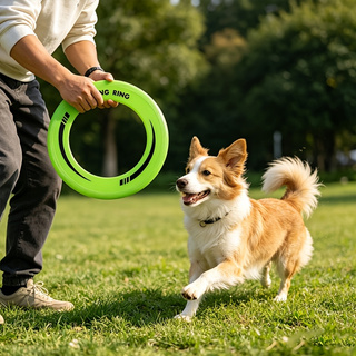 Frisbee Freestyle Disc - 1PC 내구성이 뛰어난 중공 링 프리스비