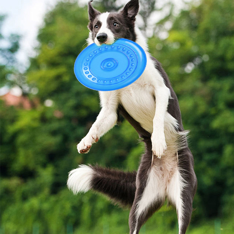 Frisbee Freestyle Disc - 내구성 있는 씹을 수 있는 애완동물