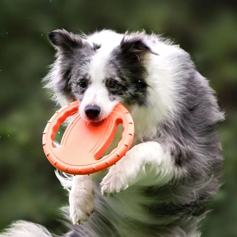 Frisbee Freestyle Disc - 내구성 강한 강아지 플라잉 디스크 장난감,