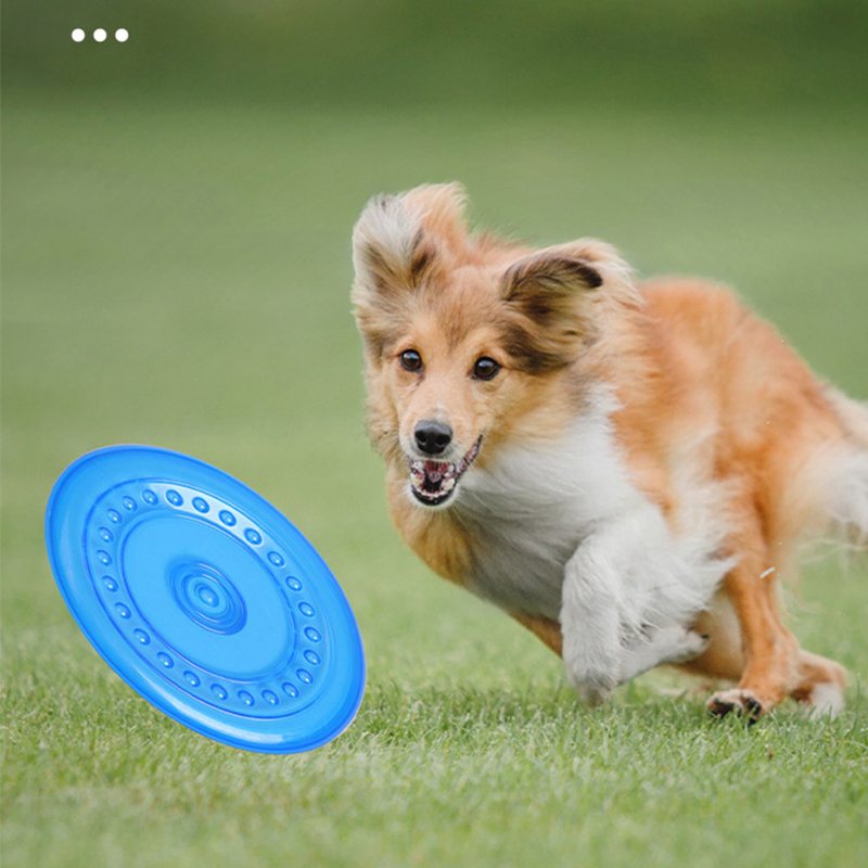 내구성 있는 씹을 수 있는 애완동물 훈련용 프리스비 장 - Frisbee Freestyle Disc 리뷰 및 가격